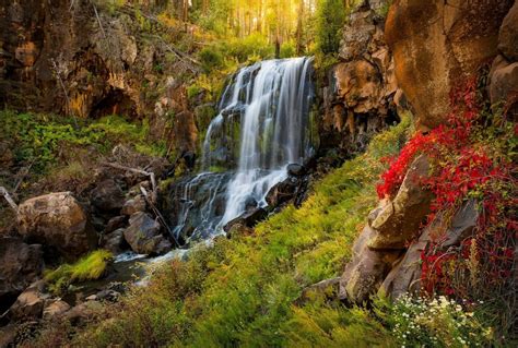 Download Fall Forest Nature Waterfall HD Wallpaper