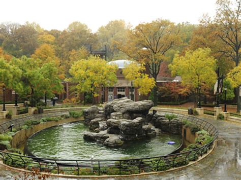 Bronx Zoo: Animal exhibits, zoo events & nearby family attractions