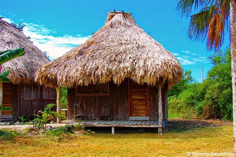 thatch roof | Thatched roof, House styles, Outdoor structures