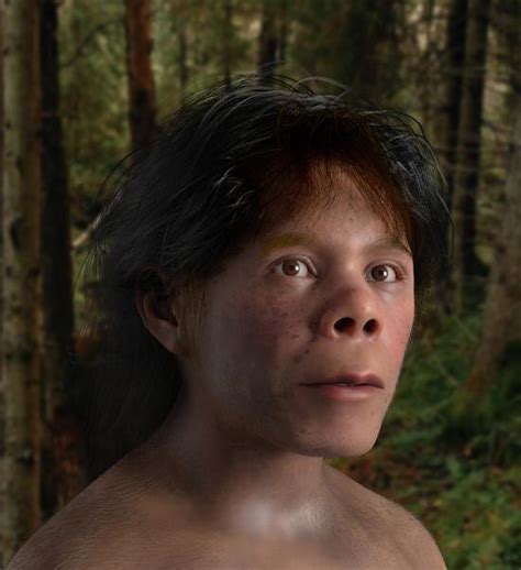 Neanderthal boy's skull reconstructed