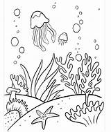 Coral Reef Coloring Pages sketch template