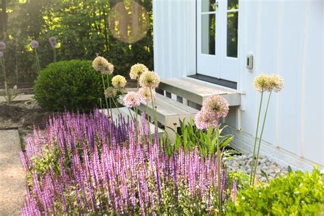 Garden Design by Nick McCullough featuring alliums and perennials - thinkingoutsidetheboxwood ...