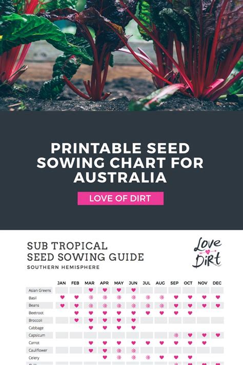 Seed sowing chart for southern hemisphere | Vegetable garden tips, Garden calendar, Planting ...