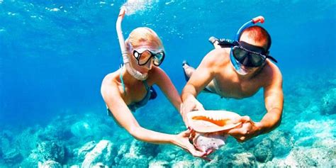 Snorkeling In Bermuda: An Experience You Simply Can’t Beat - Strive ...