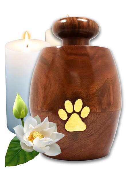 Lindia Artisans Beautiful Wooden Pet Urn Jar with Brass Paw Print ...