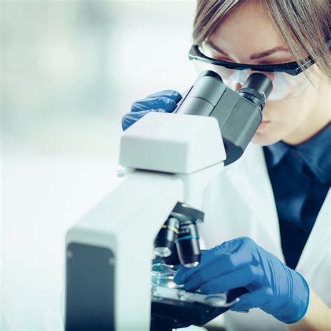 How to Calculate the Field of View in a Microscope | Sciencing