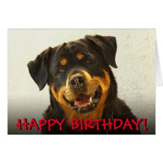 ga Rottweiler birthday meme Rottweiler birthday card - UpdateBanget.id