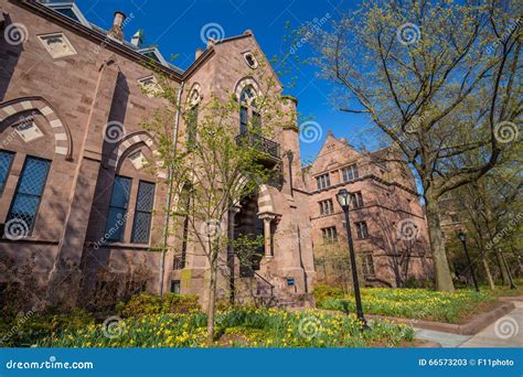 Yale university buildings stock image. Image of student - 66573203