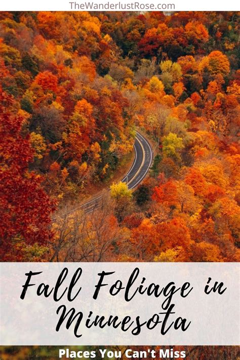 Places You Can't Miss For Fall Foliage in Minnesota - The Wanderlust Rose