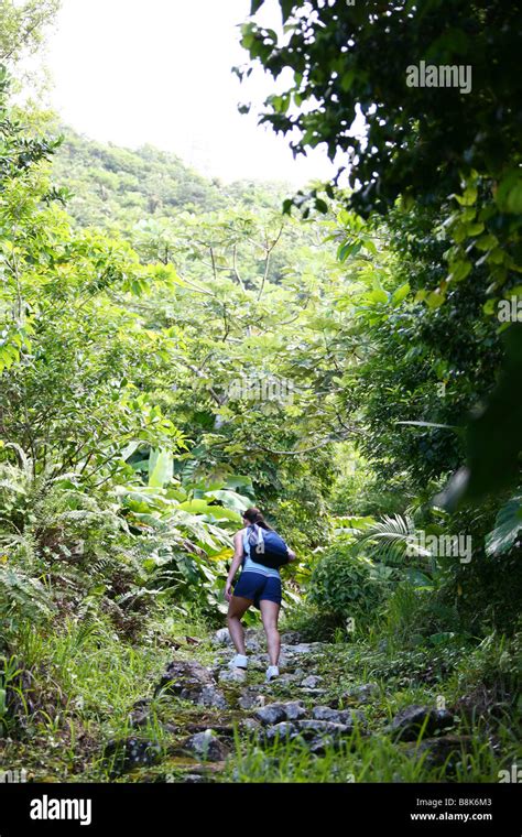 Woman hiking to the top of Mount Scenery on the Caribbean isle Saba in ...