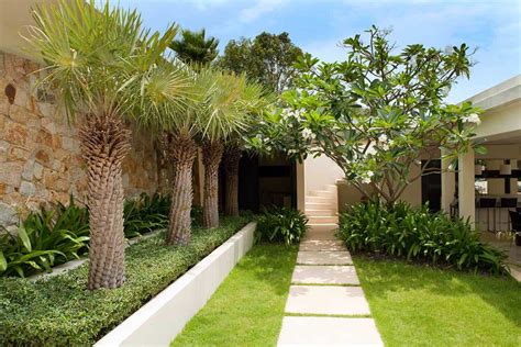 35 Palm Tree Garden Ideas