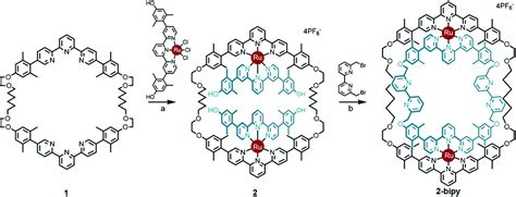 Conformations of large macrocycles and ring-in-ring complexes - Organic ...