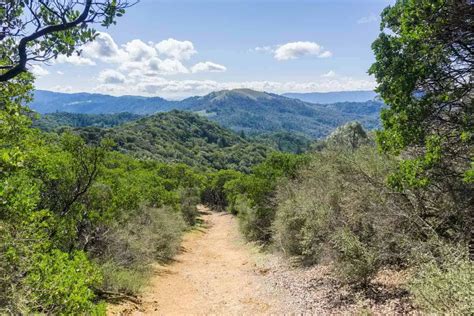 Discover the Best Sonoma County Hiking Trails