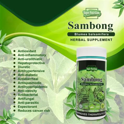 Sambong Capsules Food Supplement 100 (new packaging) | Lazada PH