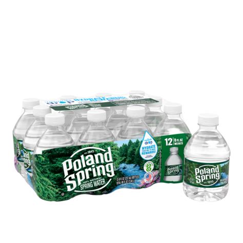 Poland Spring® Bottled Water | 8 oz Mini Bottles 12-Pack | ReadyRefresh