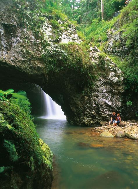 Natural Arch Waterfall in Springbrook National Park, Gold Coast. Don’t miss out on this park’s ...