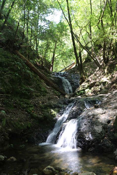 Uvas Canyon Waterfalls - South Bay Area's 6-Waterfall Refuge