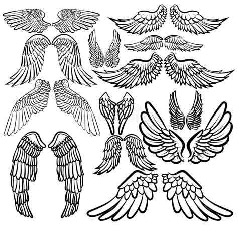 Set of Angel Wings. Wings Collection with Feathers. Black White Vector ...