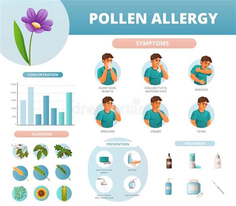 Pollen Allergy Infographics Stock Vector - Illustration of symptom ...