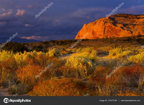 Beautiful Prairie landscapes — Stock Photo © kamchatka #137473156