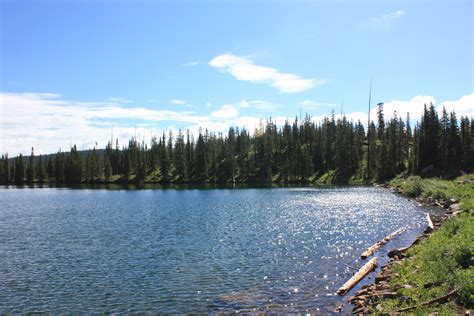 Elevation of Meadow Lake Campground, Forest Rd A, New Castle, CO, USA - Topographic Map ...