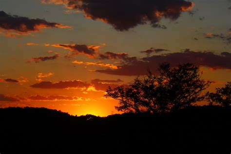 Long Shadows Photography: Sunset with trees