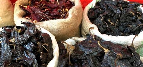 Dried chiles are perfect for mole recipes - How to Make Mole