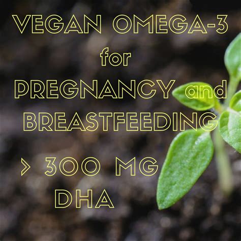 Vegan Omega-3 Fatty Acid Supplementation in Pregnancy and Breastfeeding – The Why, What, and ...