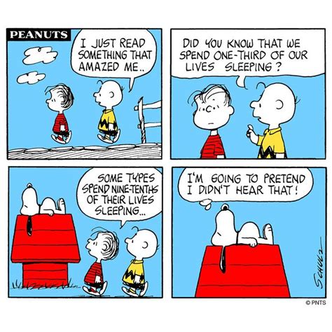 PEANUTS on Twitter | Charlie brown comics, Snoopy comics, Snoopy