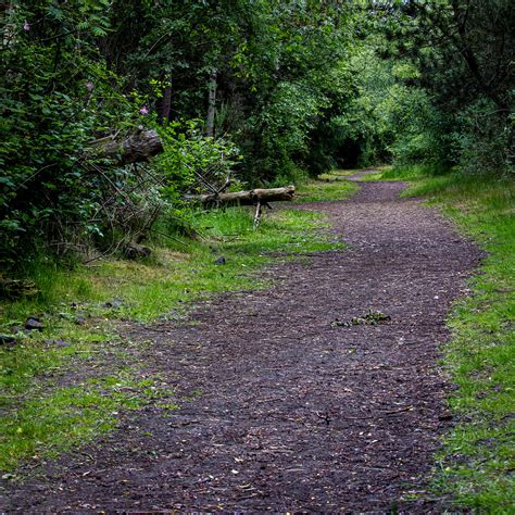 Dirt path to follow | Kinneil nature reserve on the Bo'ness … | Flickr