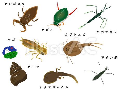 Free Vectors | Rice field creatures