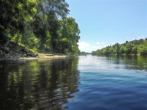 The Suwannee River - Owen Springs | Florida Paddle Notes