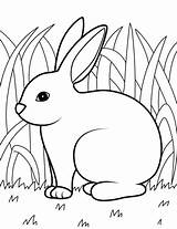 48 Farm Animal Coloring Pages  Free PDF Printables sketch template
