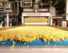 A factory for the production of French fries will be launched in Ukraine | Nieuwsbericht ...