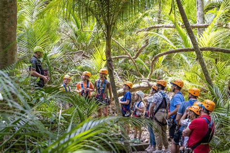 Waiheke Island: Zipline and Native Forest Adventure Trip | GetYourGuide