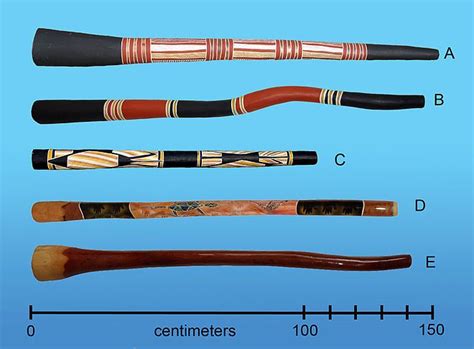 Le didgeridoo est un instrument de musique à vent de la famille des cuivres, couramment utilisé ...