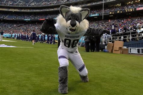 Why your mascot sucks: Northwestern University