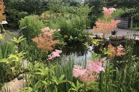 Discovery Garden - Brooklyn Botanic Garden