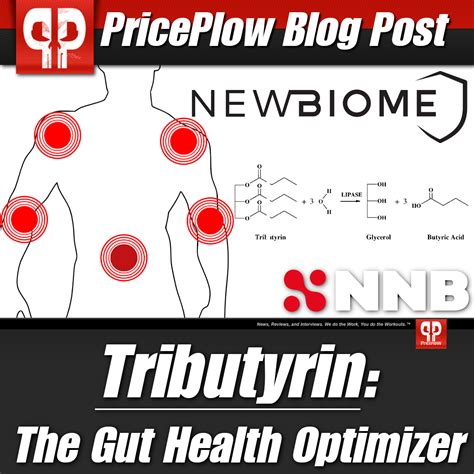 Tributyrin: The Gut Health Optimizer