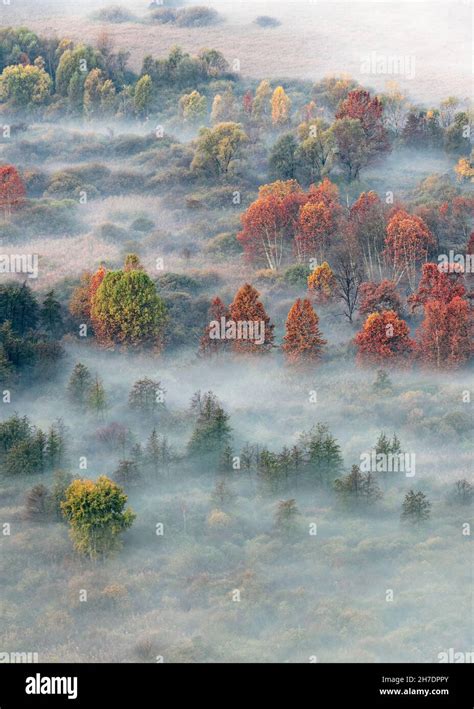 All the colors of autumn, Italy landscape Stock Photo - Alamy