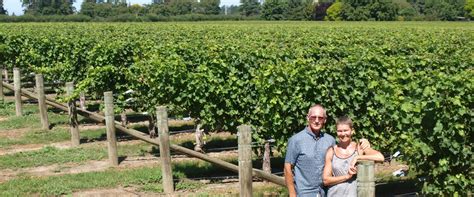 About Us » Marlborough Winery & Vineyard - Wine Tours & Tastings at Vicarage Lane Wines in New ...