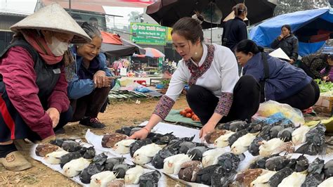 Vang Hoa sells pigeons at the market | King Kong Amazon harvests ...