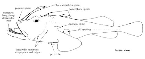 Keys - Description