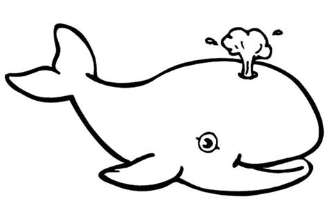 Baby Whale Coloring Page | Kids Play Color