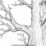 Ancient Bristlecone Bark Coloring Pages sketch template