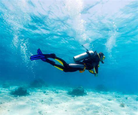 What are Different Types of Underwater Sports? (with pictures)