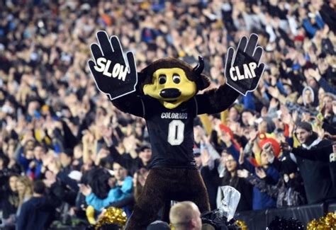 Colorado Buffaloes mascot Chip wrecked by T-shirt cannon misfire – The ...