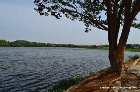 Chitlapakkam Lake, near Tambaram Chennai - eNidhi India Travel Blog