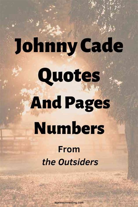 20 Johnny Cade Quotes And Pages Numbers From The Outsiders | Ageless ...