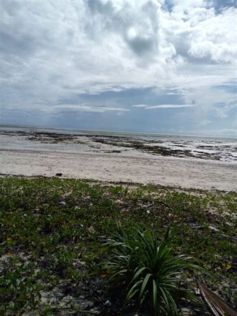 BEACH PLOT FOR SALE AT PONGWE ZANZIBAR | TANZANIA REAL ESTATE